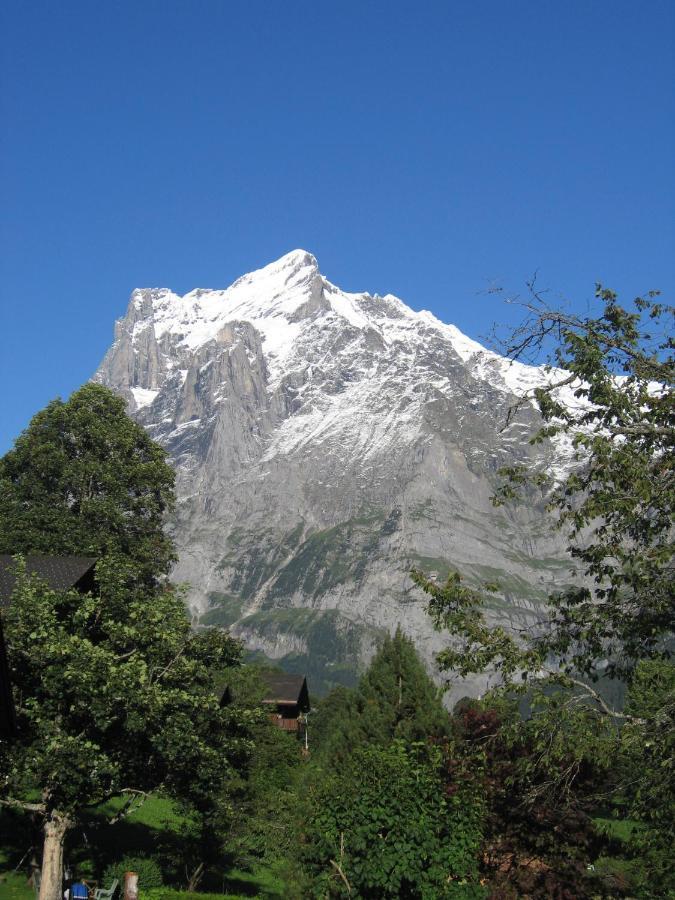 Naturfreunde Hostel Grindelwald Bilik gambar