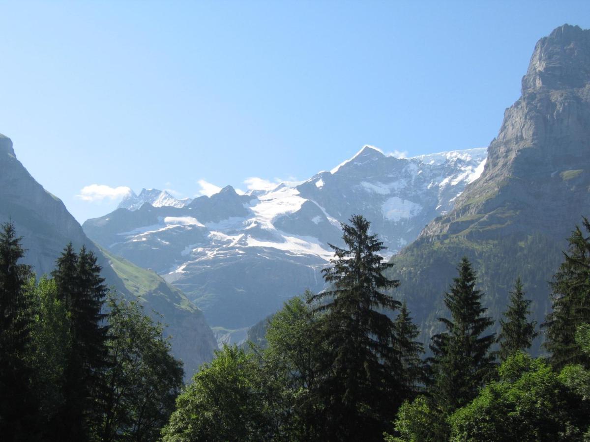 Naturfreunde Hostel Grindelwald Bilik gambar